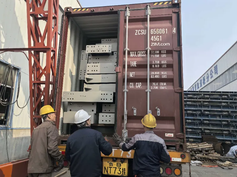 চিলিতে একটি বৃহৎ-স্কেল ইস্পাত গুদাম প্রকল্পের জন্য ইস্পাত কাঠামোর উপাদানগুলি সফলভাবে পাঠানো হয়েছে, স্থানীয় লজিস্টিক হাব নির্মাণে সহায়তা করছে