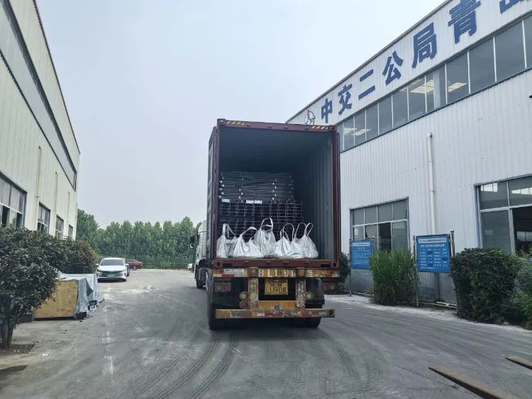 Qingdao Liweiyuan ইস্পাত কাঠামো আইসল্যান্ডিক ক্লায়েন্টকে ফিশারী ফার্মের জন্য কাস্টম ইস্পাত উপাদান সরবরাহ করে